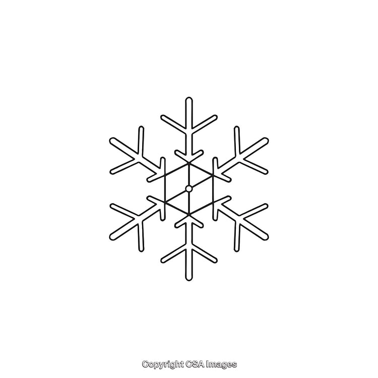 Black and White Line Drawing of a Symmetrical Snowflake Shape