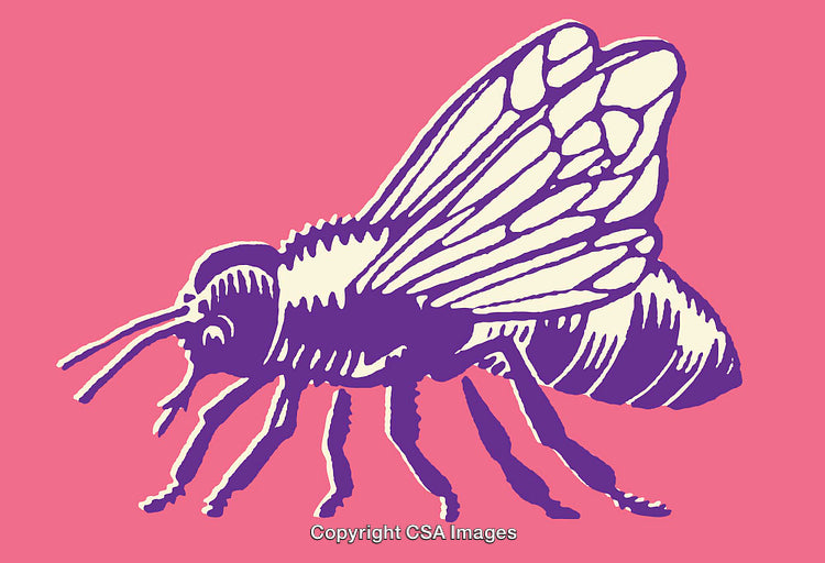 Vibrant Colorful Line Art Illustration of a Detailed Bee Profile