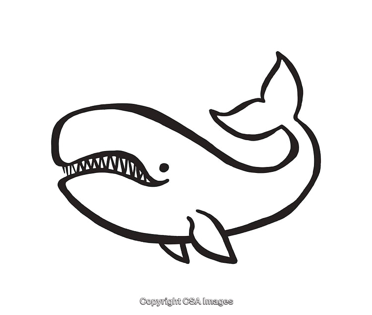 Cartoon Whale Line Art Illustration in Black and White Design Style