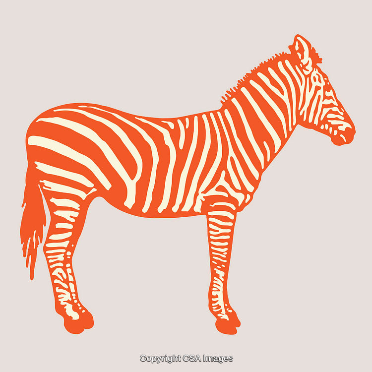 Orange Zebra Line Art Illustration with Vintage Style