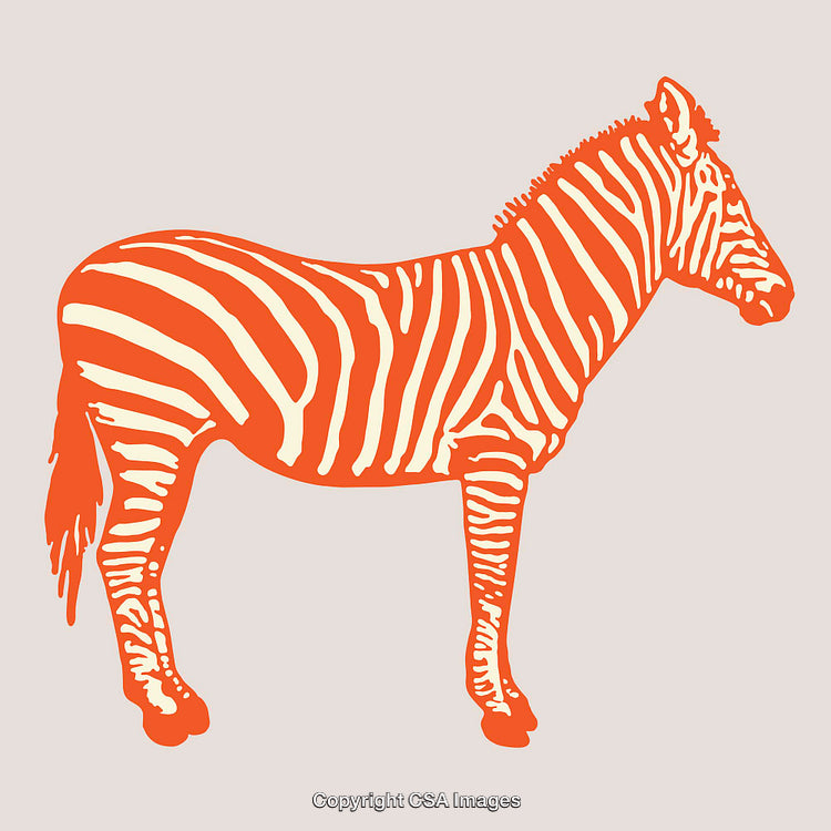 Orange Zebra Line Art Illustration with Vintage Style