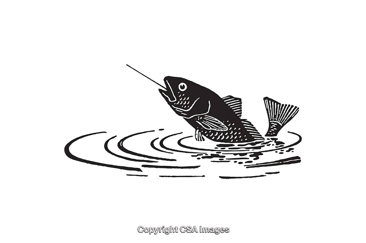 Illustration of Fish Jumping from Water in Black and White Line Art Style
