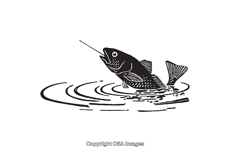 Illustration of Fish Jumping from Water in Black and White Line Art Style