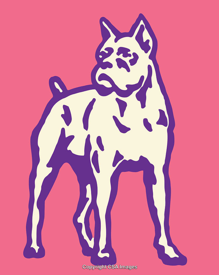 Colorful Line Art of a Dog Featuring Bold Outline on Vibrant Background