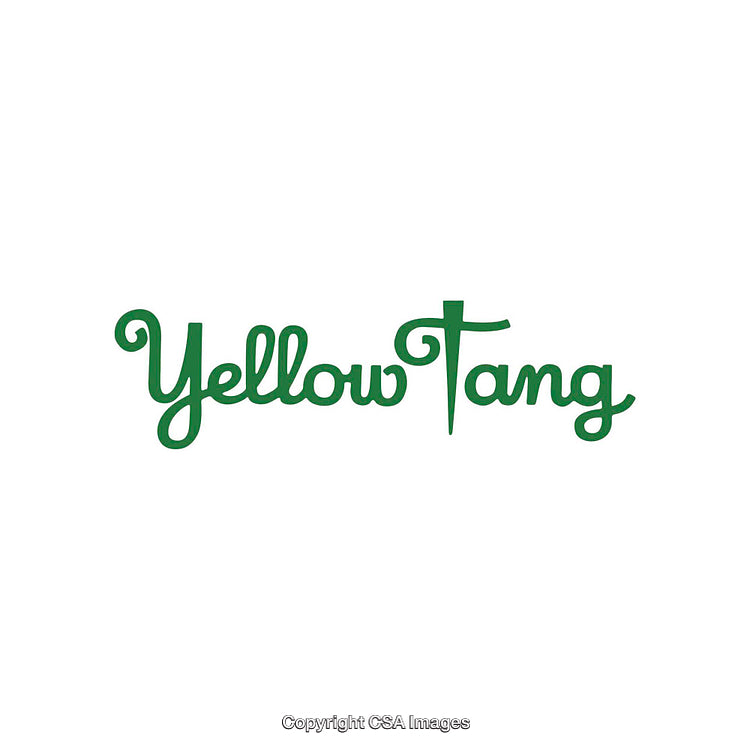 Stylish Green Script Logo Design Displaying Yellow Tang Branding