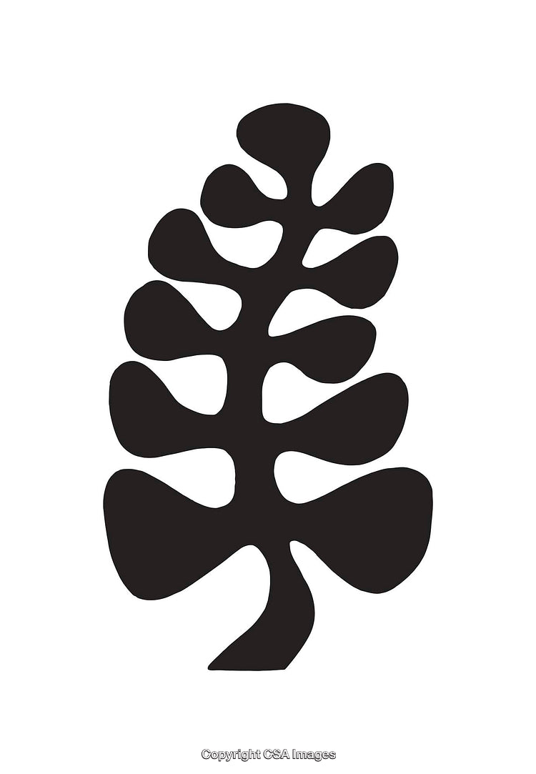 Abstract Black and White Modern Line Art Botanical Composition