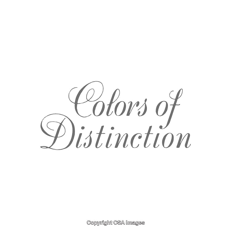 Elegant Typography Displaying 'Colors of Distinction' in Gray Script