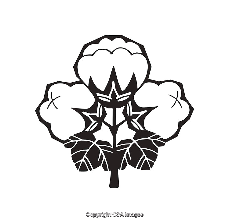 Black and White Line Art Illustration of a Cotton Boll Symbol