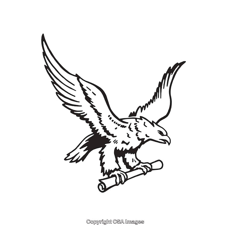 Eagle Carrying Scroll Line Art in Black and White Design