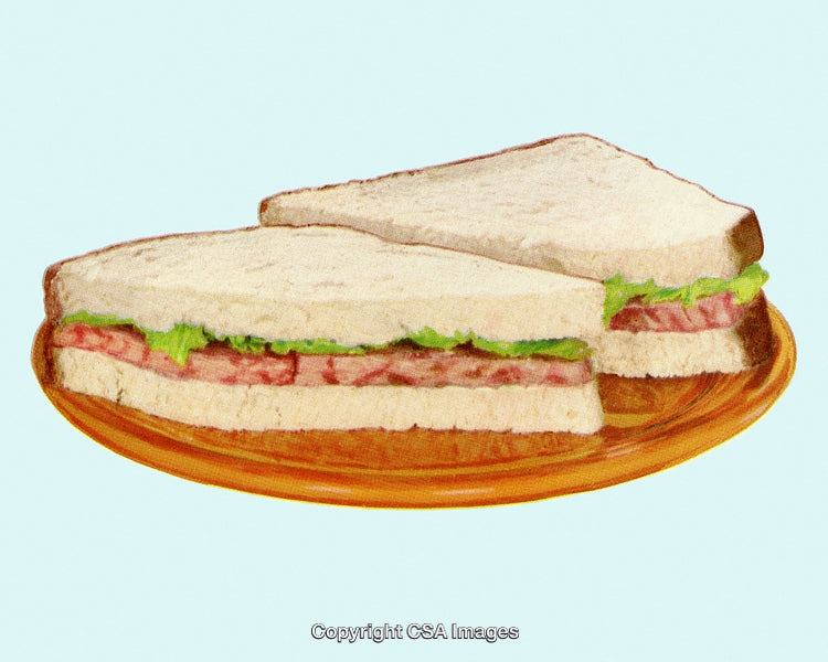 Classic Sandwich Halves On a Plate with Dot Screen Style