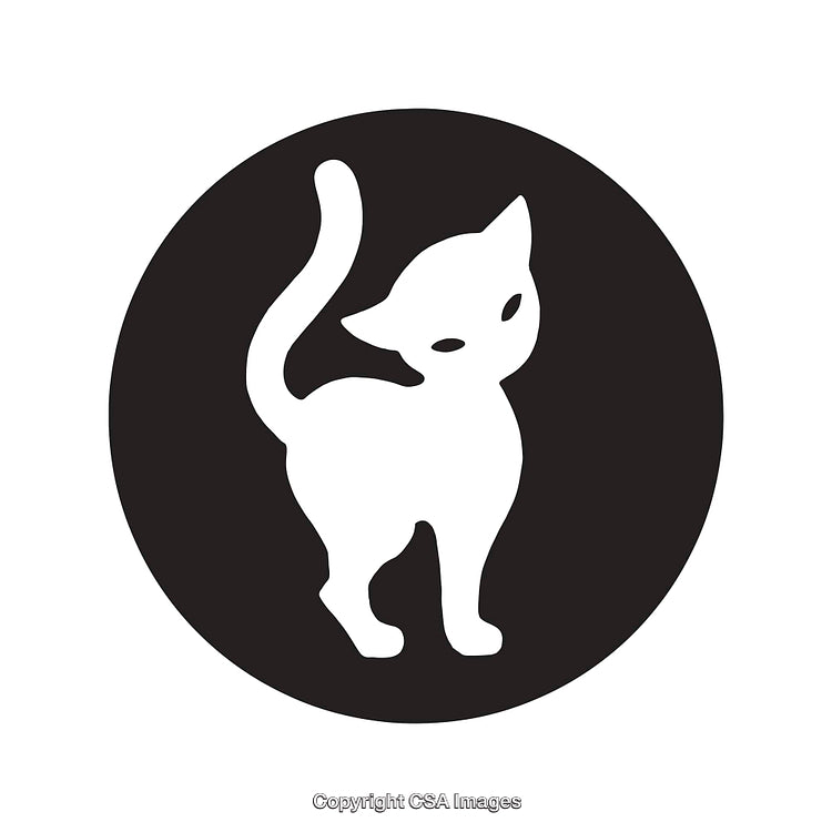 Black and White Silhouette of a Cat With Raised Tail