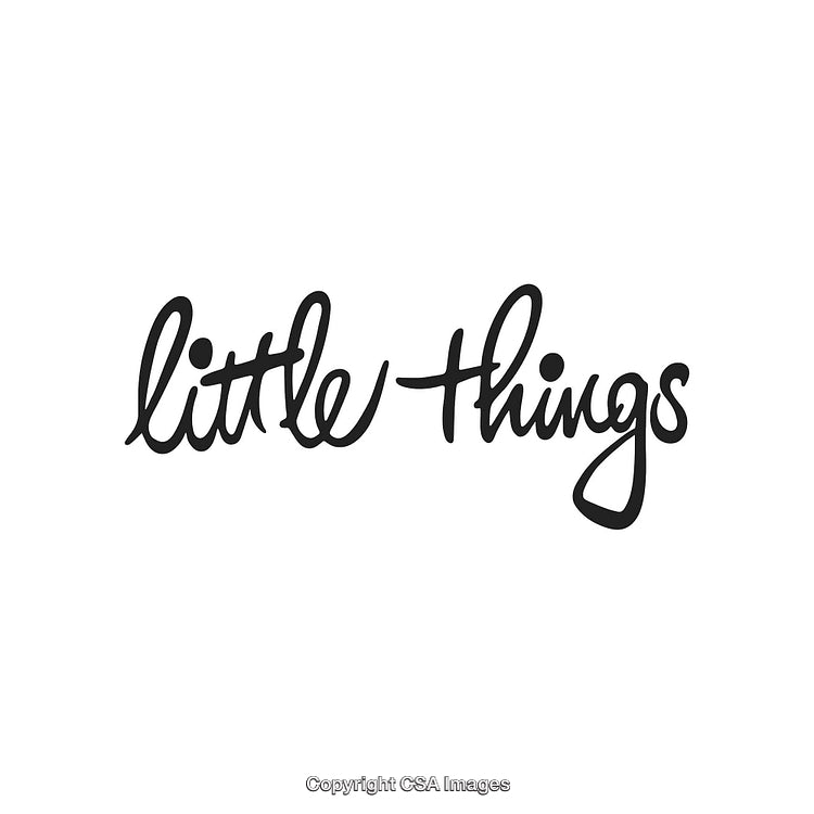 Handwritten Script Text Depicting the Phrase 'Little Things' in Black Ink