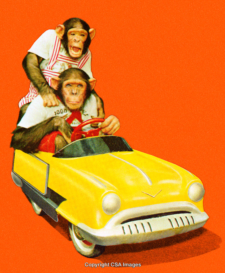 Two Playful Chimps Riding a Yellow Toy Car on an Orange Background