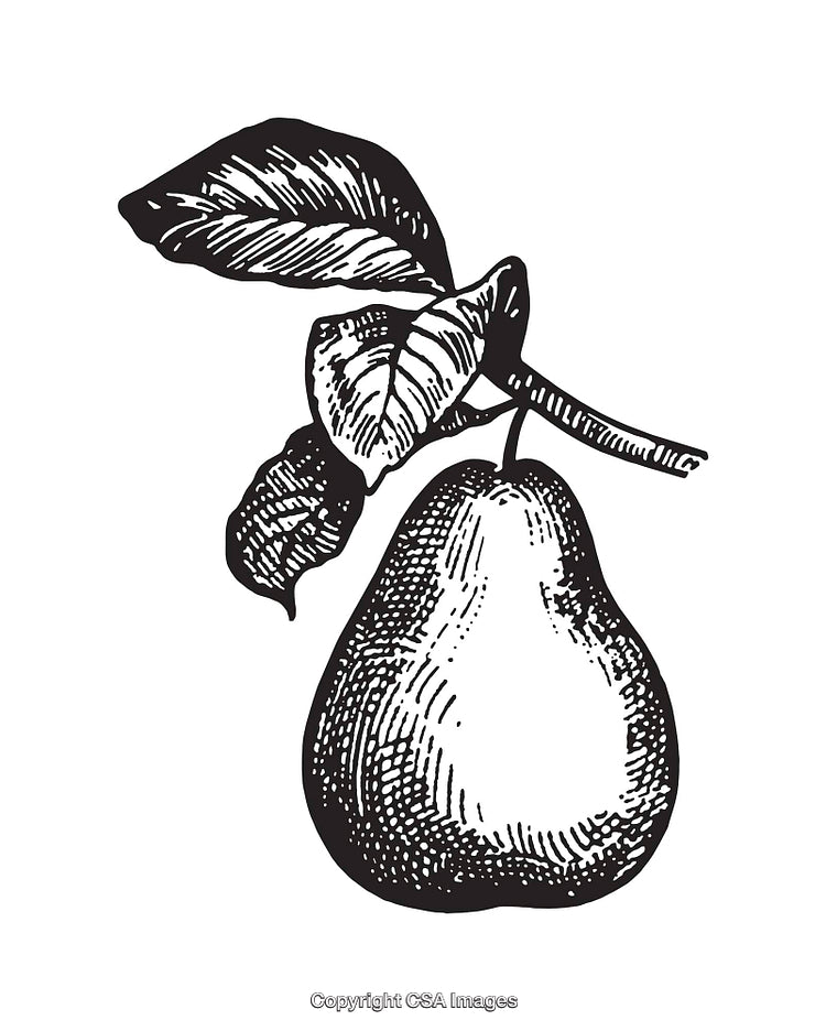 Black and White Line Art Illustration of a Pear with Leaves