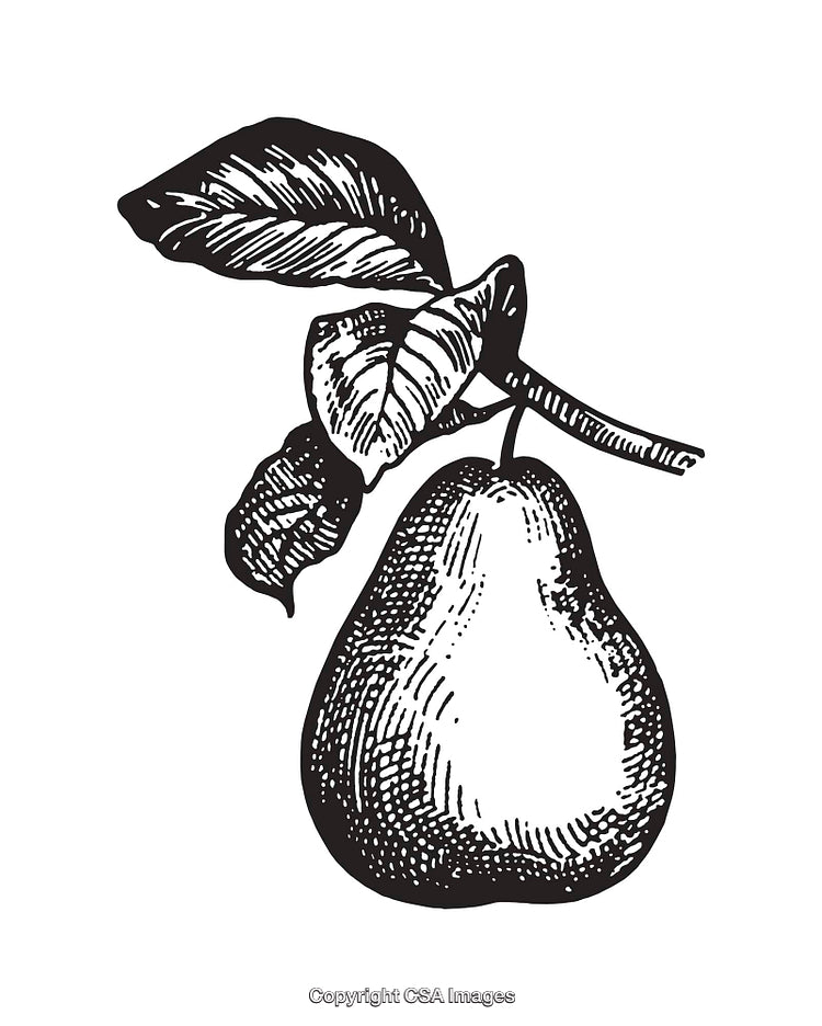 Black and White Line Art Illustration of a Pear with Leaves
