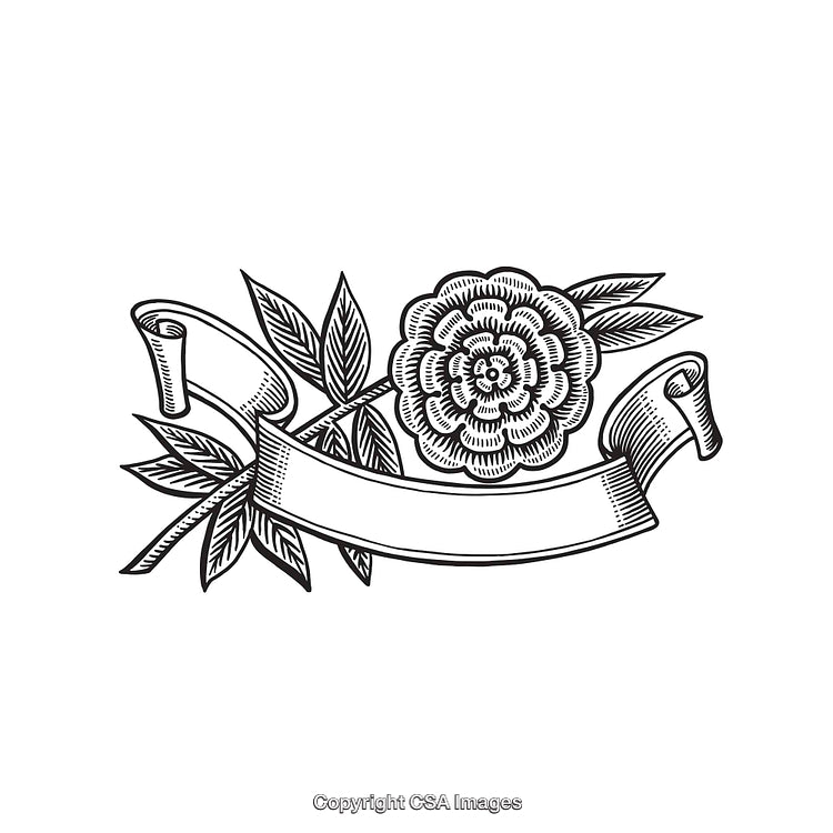 Elegant Line Art Rose with Banner and Leaf Design