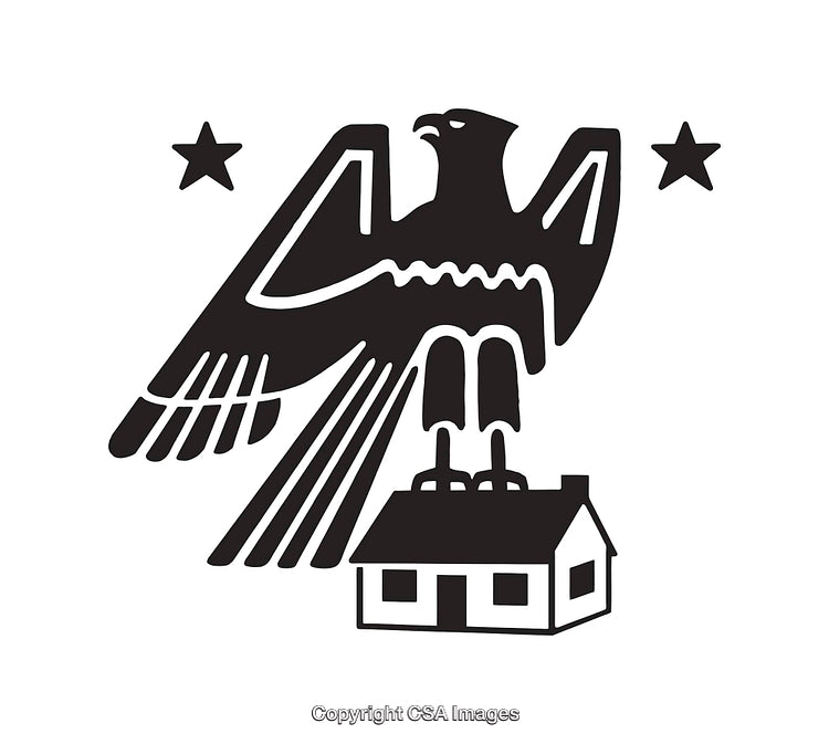 Black and White Illustration of Eagle Perched on House with Stars
