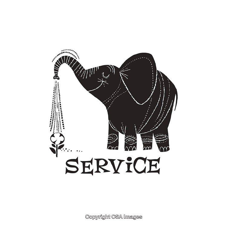 Elephant Watering a Flower in Black and White Line Art Style