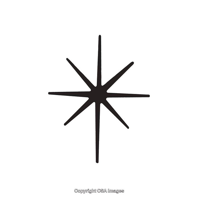 Black Eight-Ray Star Symbol on White Background