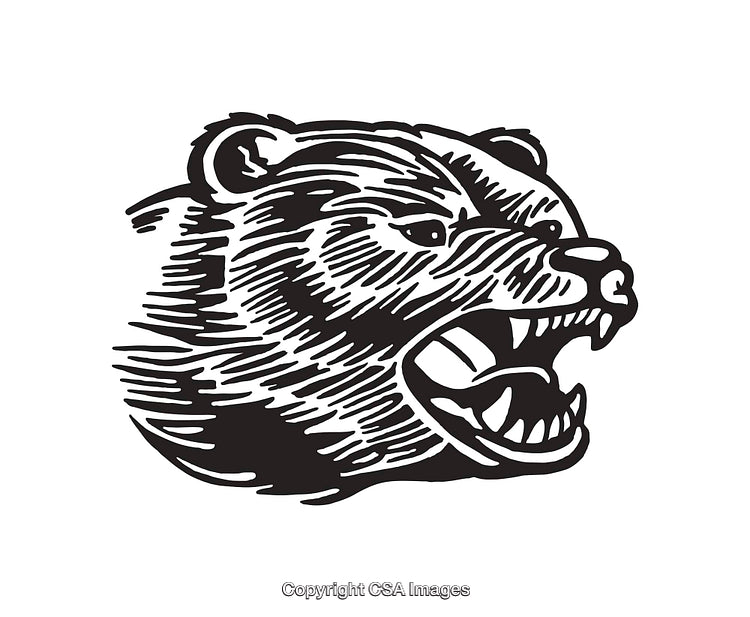 Fierce Bear Graphic Illustration in Black and White Line Art Style