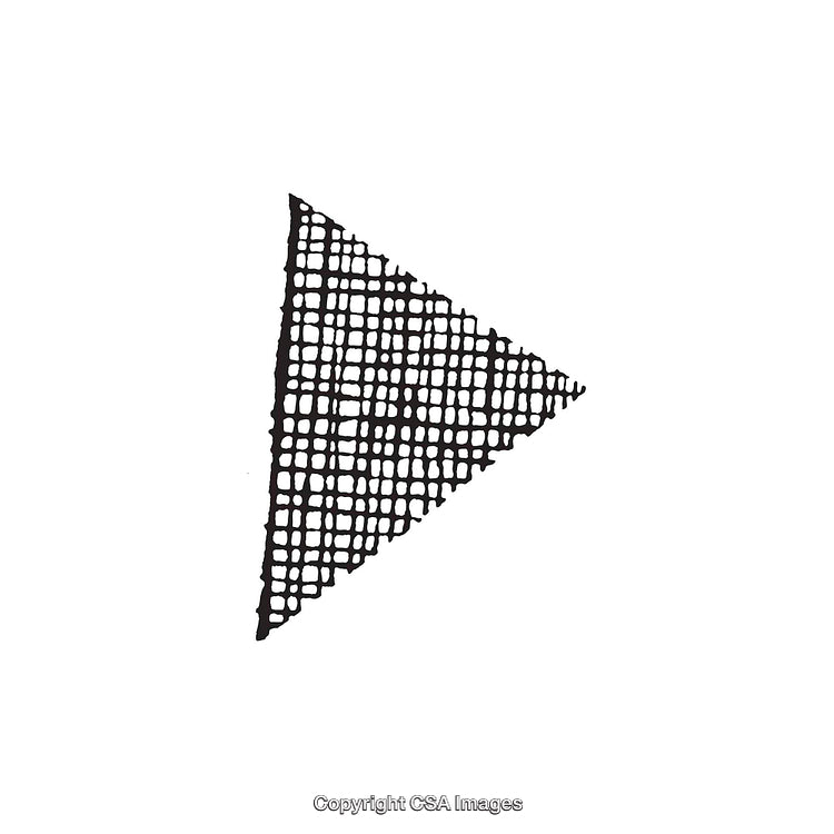 Abstract Black And White Triangle Shape With Grid Pattern Design