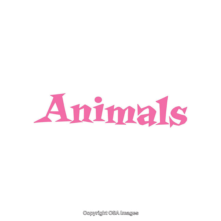 Pink Stylized Text Reading Animals on White Background