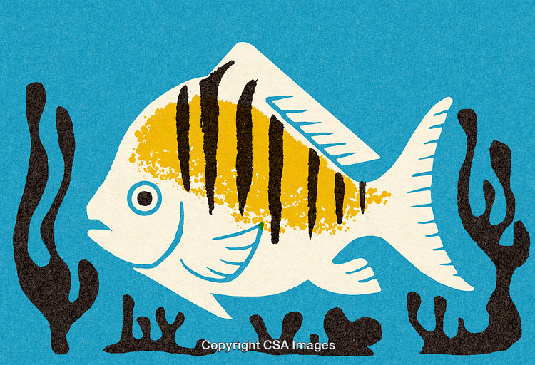 Colorful Fish Illustration Depicting Marine Life in Vibrant Abstract Style