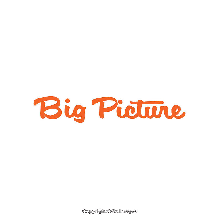 Stylized Typography Design Featuring the Phrase 'Big Picture' in Bold Orange