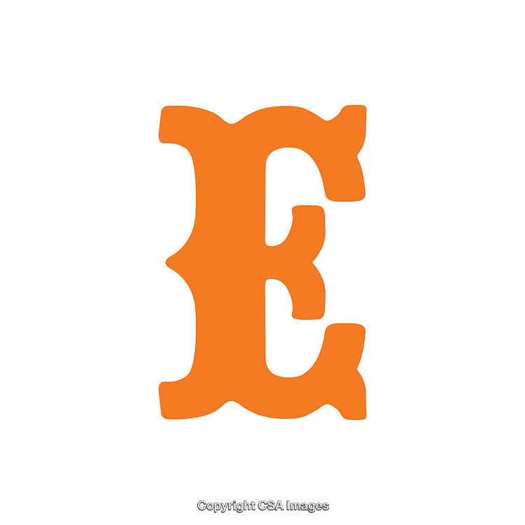 Orange Letter E in Decorative Typeface on White Background
