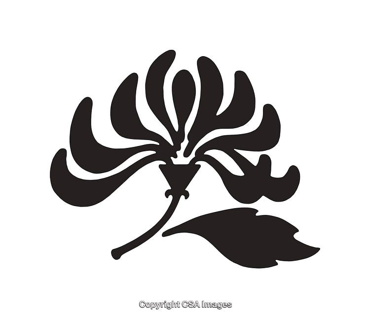 Stylized Black And White Flower Illustration with Leaves and Petals