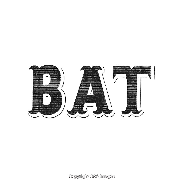 Vintage Black And White Letterpress Typography Spelling Bat
