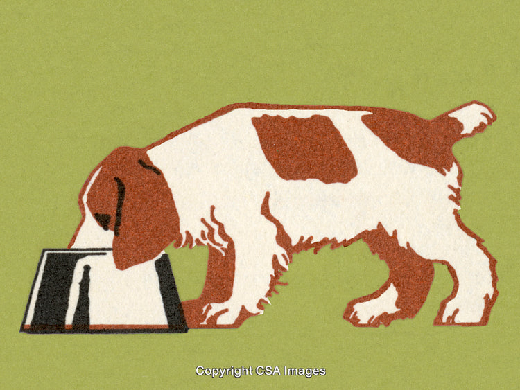 Illustration of a Dog Eating from a Bowl on Green Background