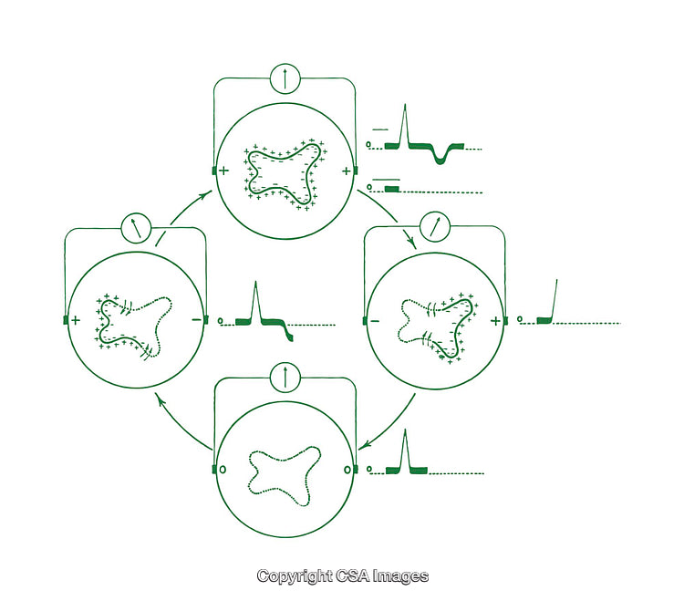 Scientific Diagram Representing Processes with Charge Interactions and Dynamic Systems