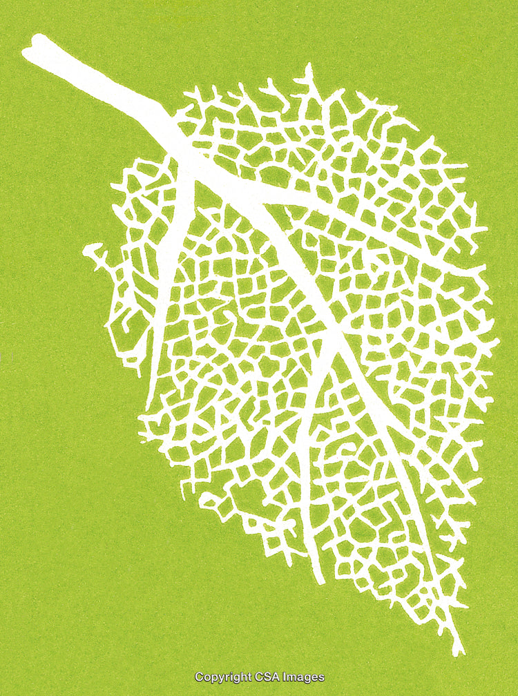 Abstract Green Background Featuring Leaf Skeleton Pattern Design in White
