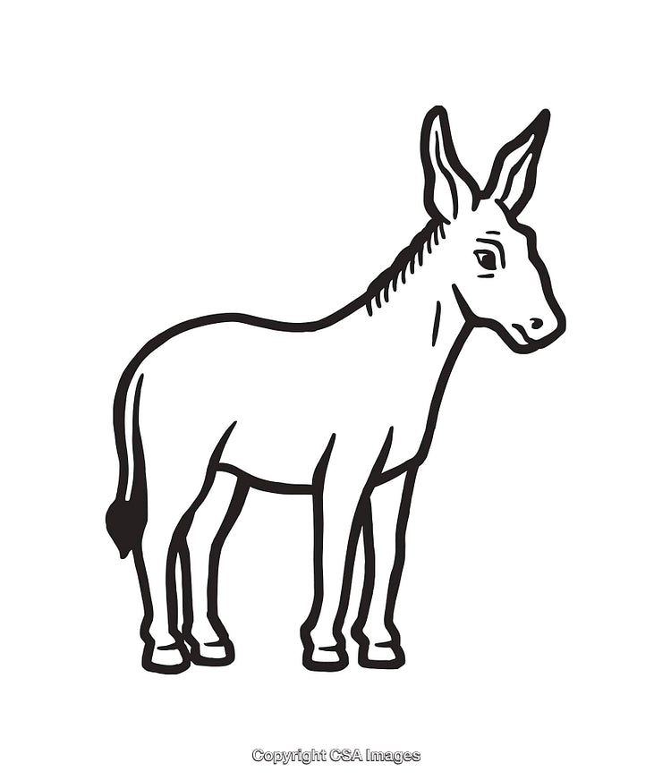 Black and White Line Illustration of a Standing Donkey