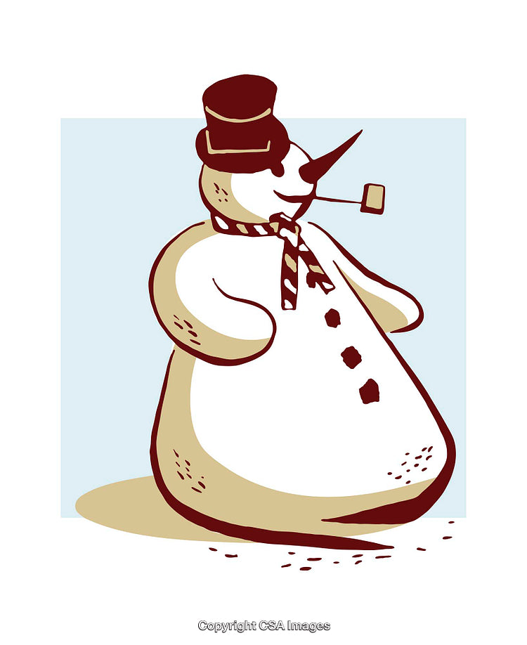 Charming Snowman Illustration in Festive Colors With Winter Elements and Accessories