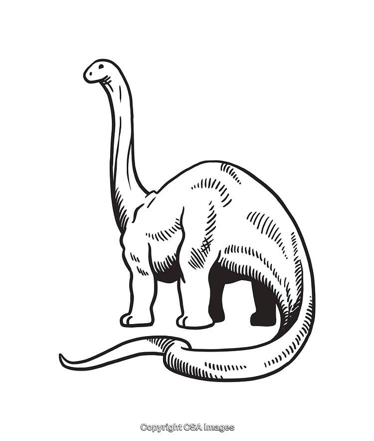 Black and White Line Art Illustration of a Dinosaur with Long Neck