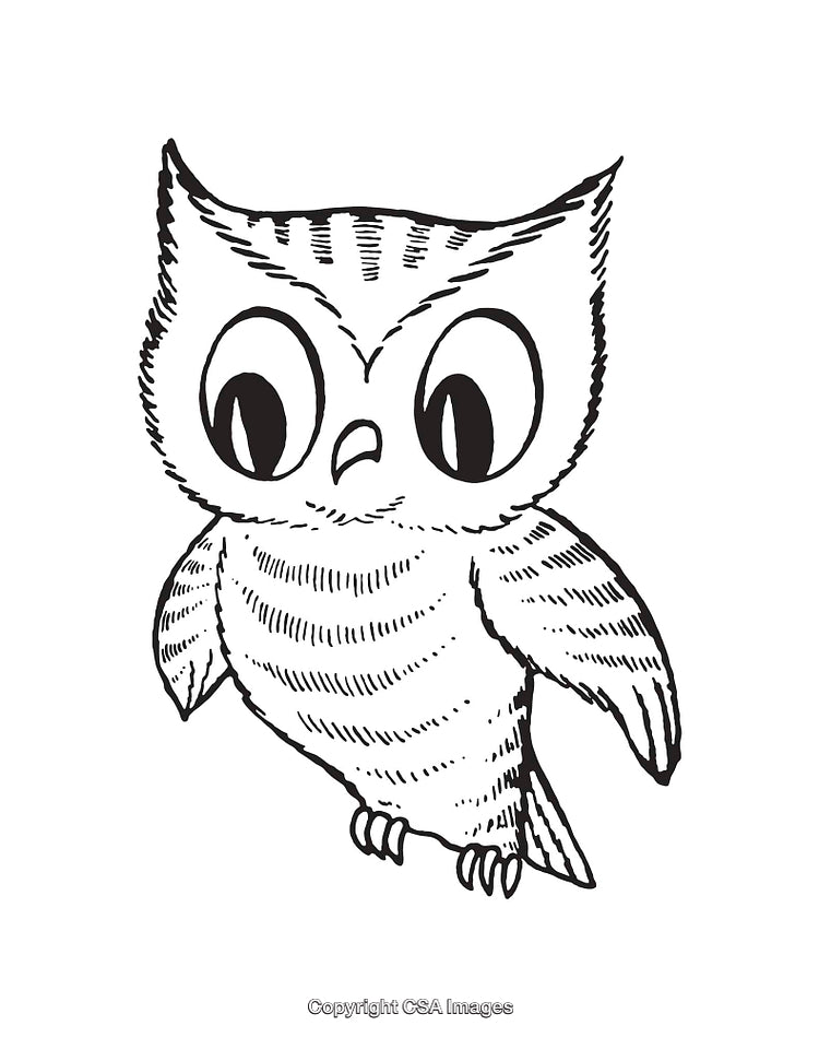Black and White Line Art Illustration of a Cute Cartoon Owl