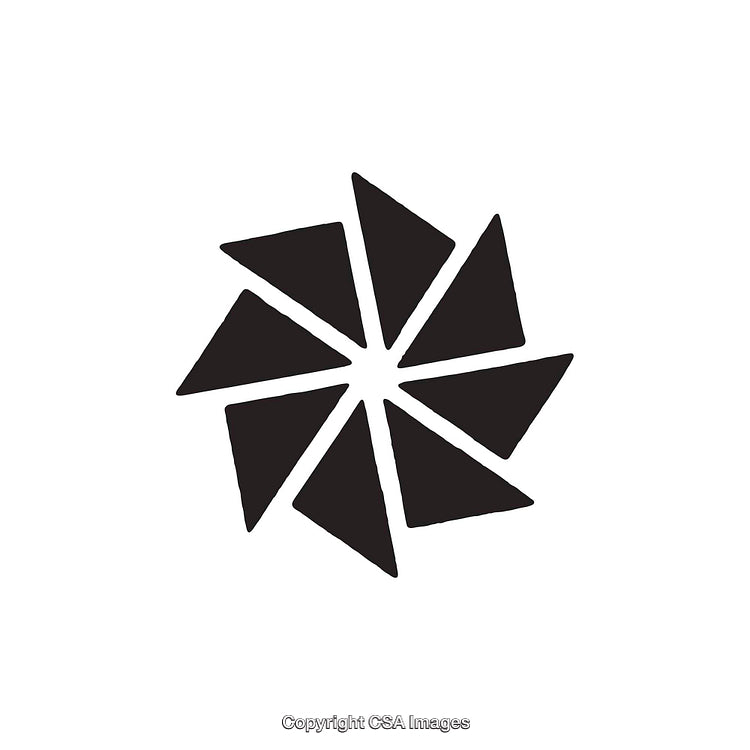 Black and White Geometric Shape Design with Abstract Symmetry