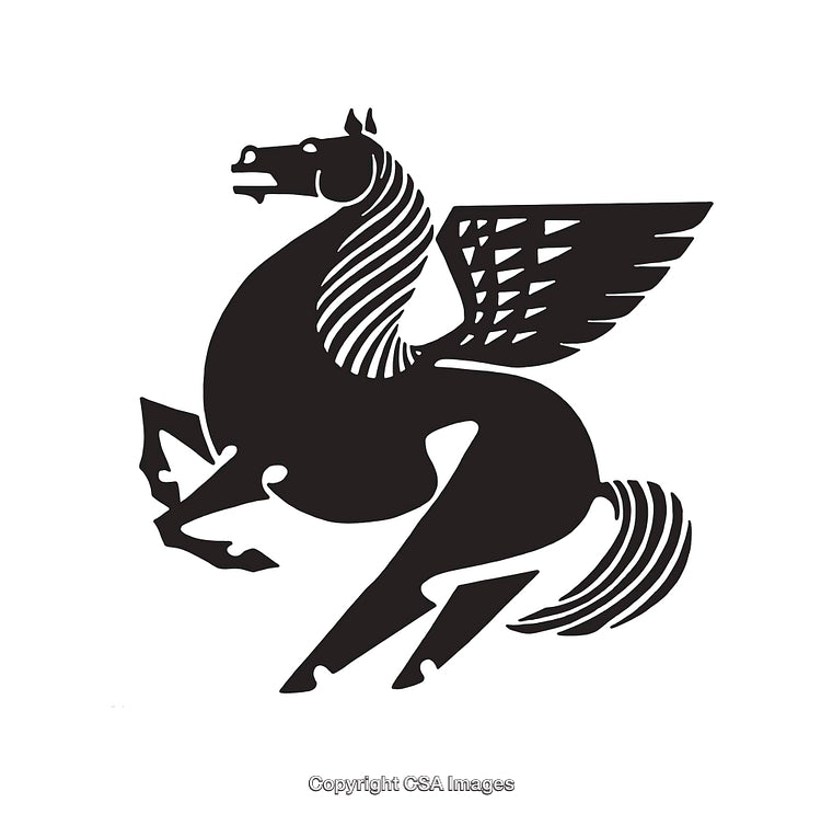 Elegant Black and White Pegasus Illustration With Detailed Line Art