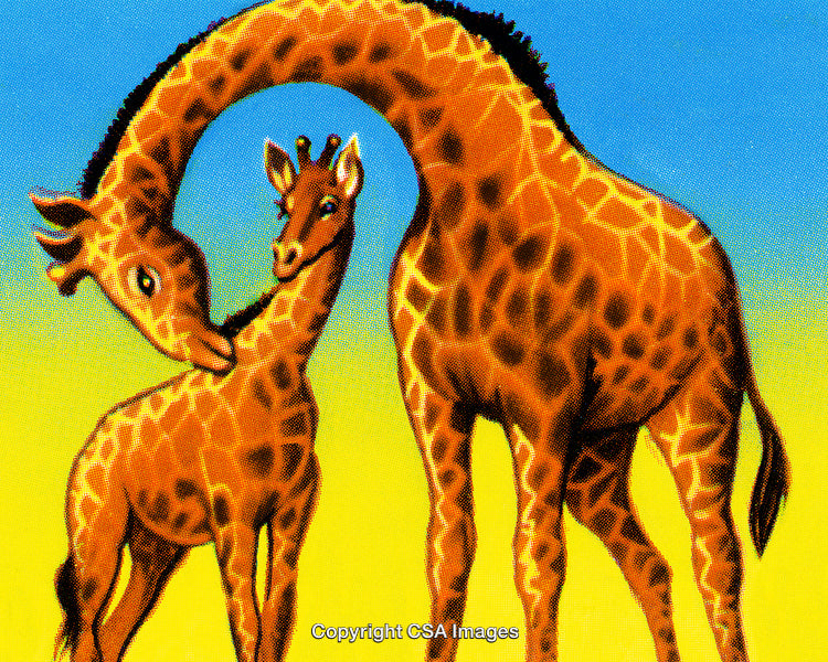 Mother and Baby Giraffe Together on a Sunny Day