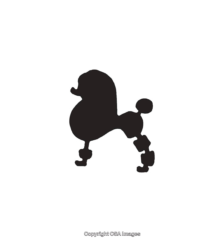Black Silhouette Icon of a Poodle Dog on a White Background