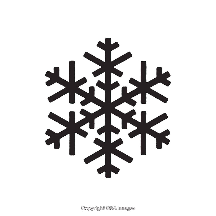 Black Dingbat Snowflake Icon with Symmetrical Detailed Design