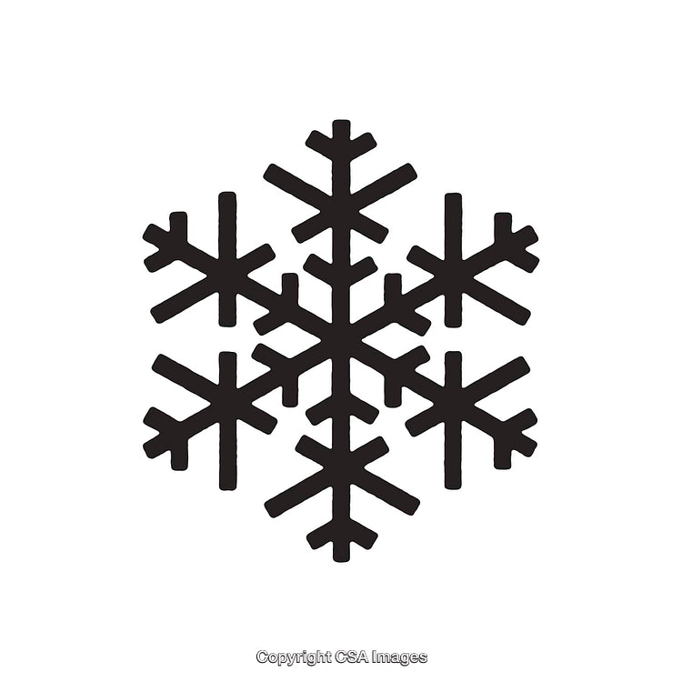 Black Dingbat Snowflake Icon with Symmetrical Detailed Design