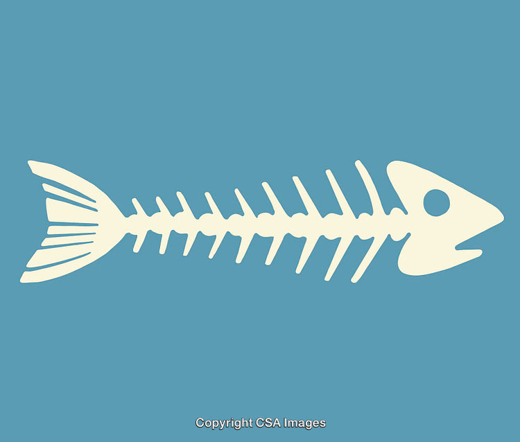 Simple Fishbone Illustration with Blue Background and Clean Shapes
