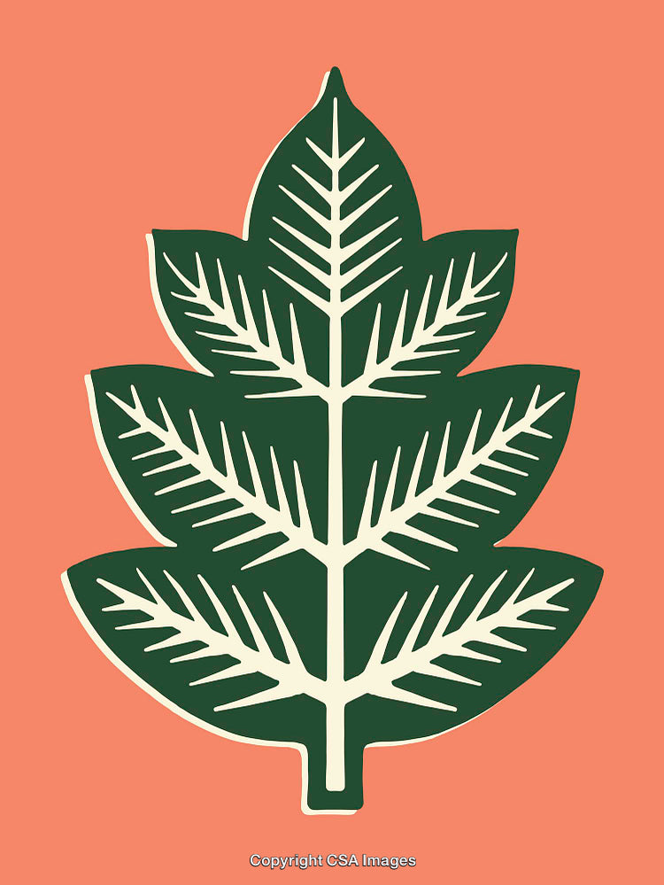 Green Leaf Design on Coral Background in Minimalist Style