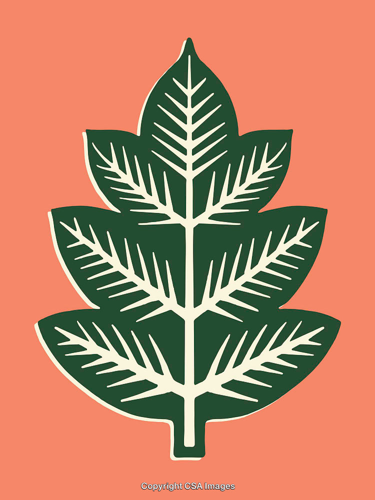 Green Leaf Design on Coral Background in Minimalist Style