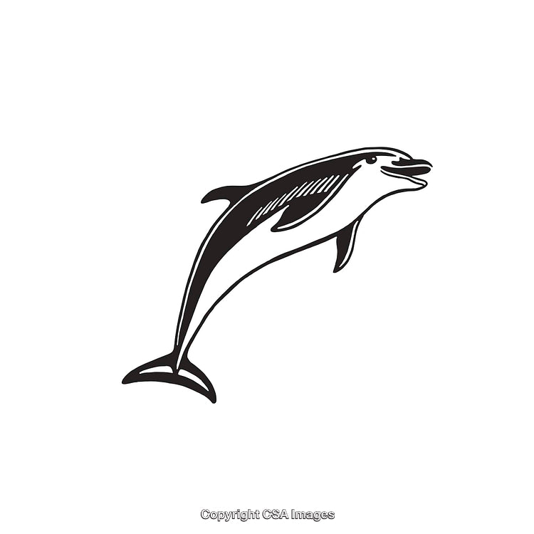 Black and White Dolphin Line Art Illustration Depicting Marine Life