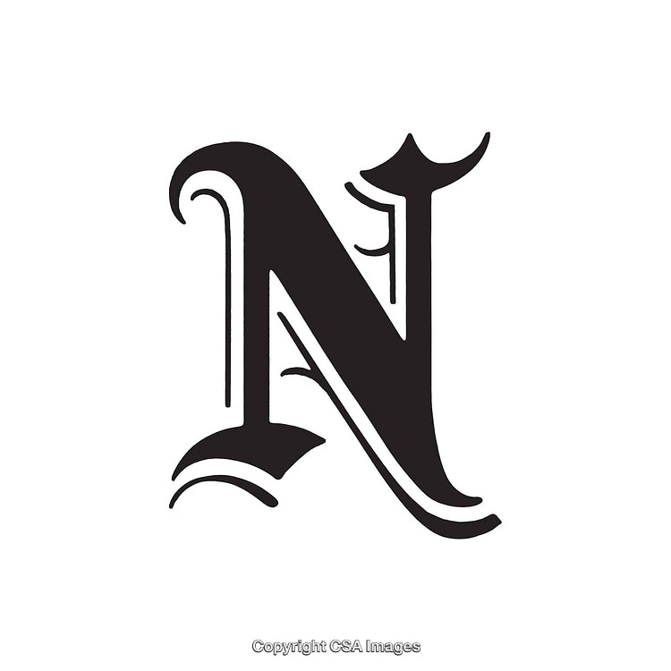 Ornate Decorative Letter N Design in Black and White Style