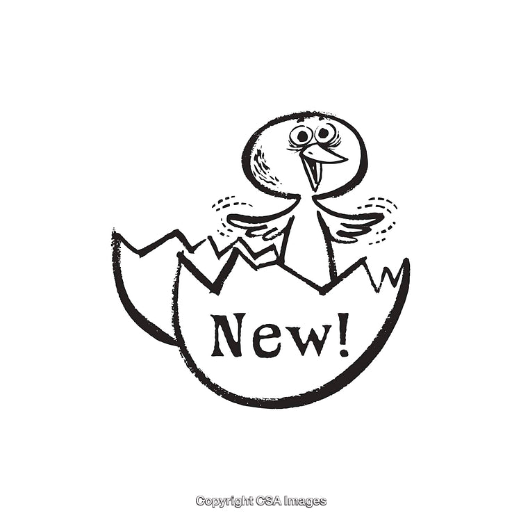 Chick Emerging From Egg With New Beginning Inscription